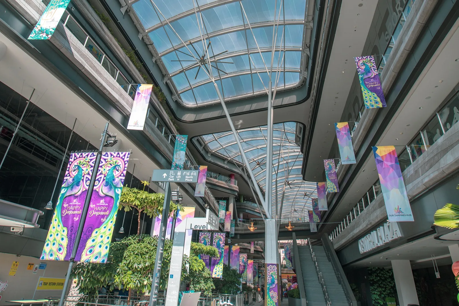 Sheltered 50-metre competition pool with lane dividers at Tampines Swimming Complex